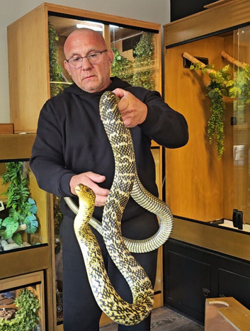 King Rat Snake