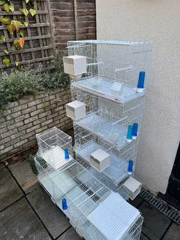 Breeding cages for sale