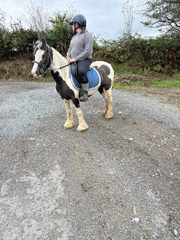 Minnie  12hh kids pony