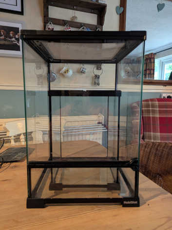 Two glass terrariums