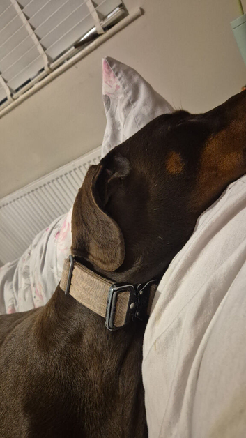 Beautiful girl