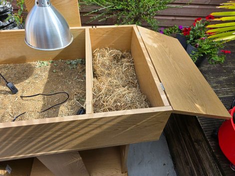 Tortoise table with bulb holder with shade