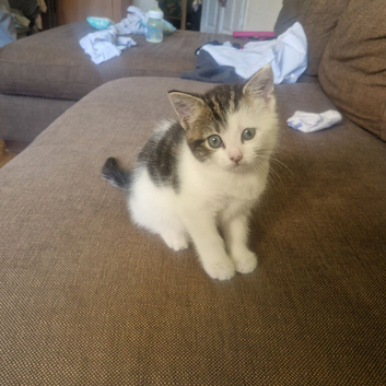 Special little girl