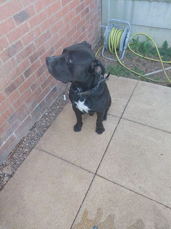Zeus