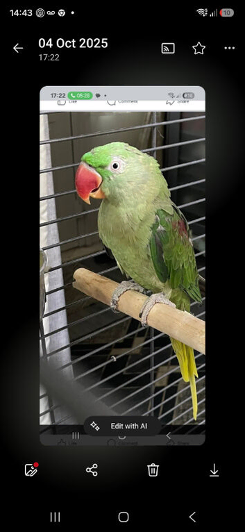 Male 5 years old