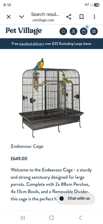 Conure and quaker