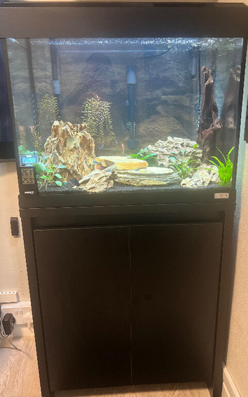 90L Fluval fish tank and fish + filter and led light