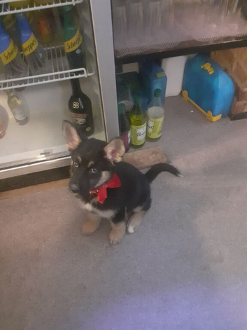 Cute little girl sadly can't keep