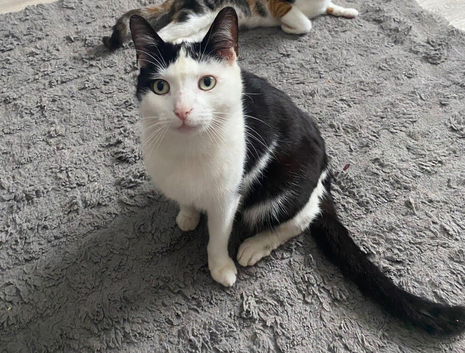 Mother and daughter 5 year old (mum) 9months (daughter)
