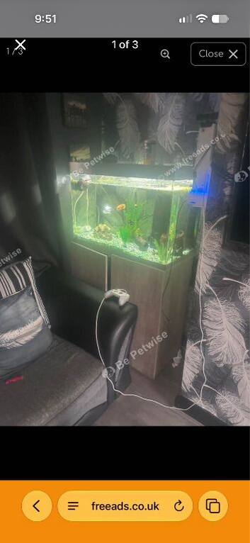 Fish tank and stand for sale