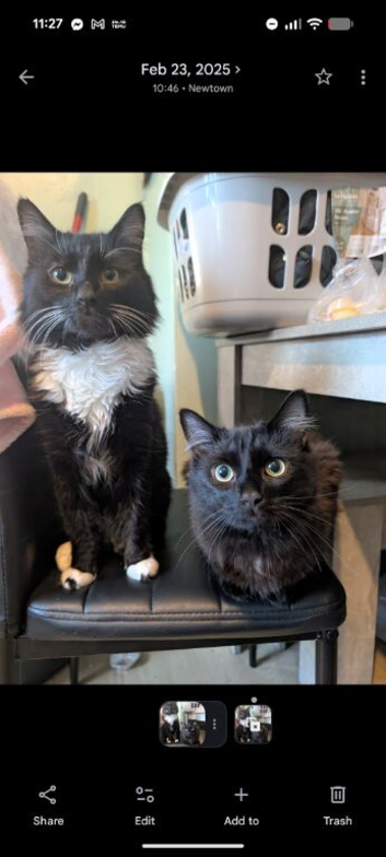 Two boys