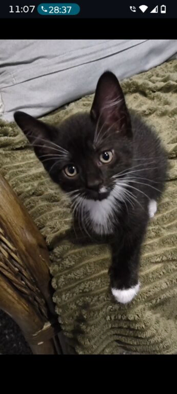 To 10 weeks old boy