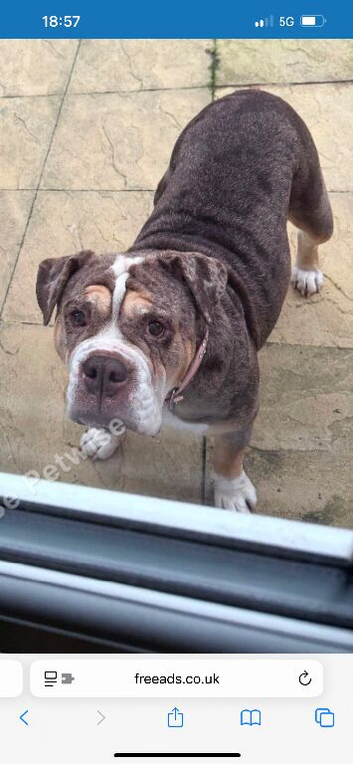 Beautiful girl