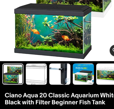 3x Betta fish with tank and accessories each