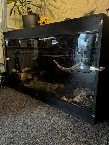 5ft Vivarium