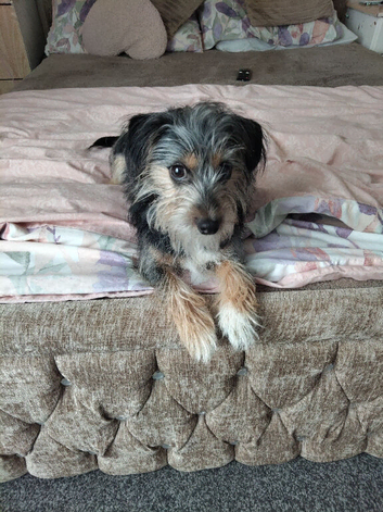 Jacktzu