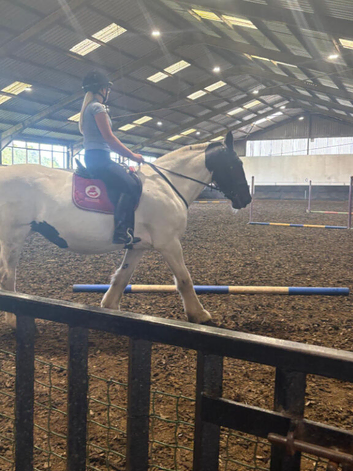 Volunteer equestrian
