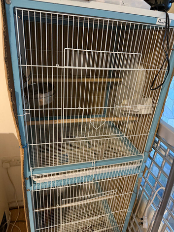 parrot cage