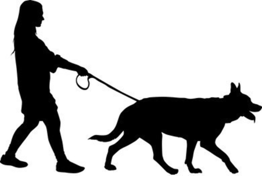 Dog walking