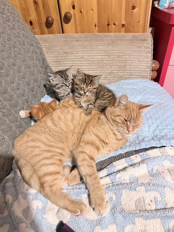 2 lovely girls and One ginger boy