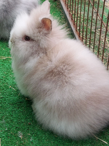 Beautiful Baby Boy.