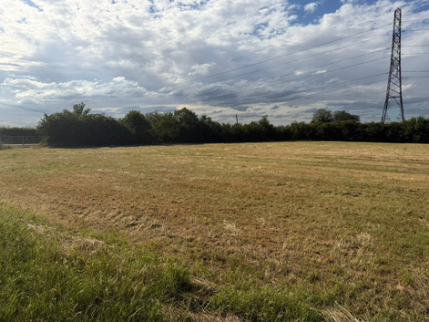 3 Acre land to Rent