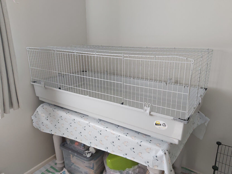 Large indoor guinea pig cage