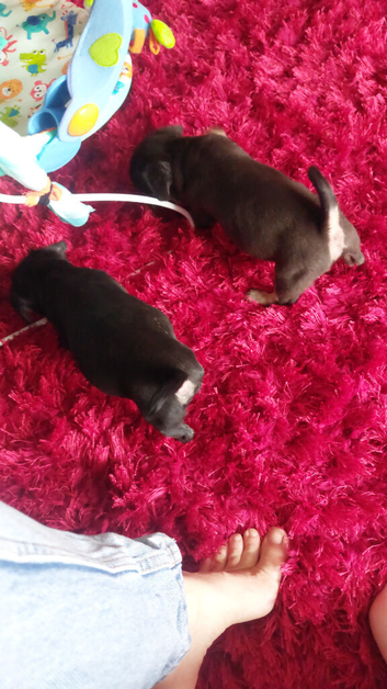 3 male one female