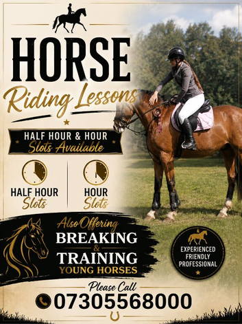 Horse riding lessons