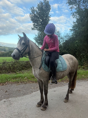 Iris Connie X for full loan to stay on current yard