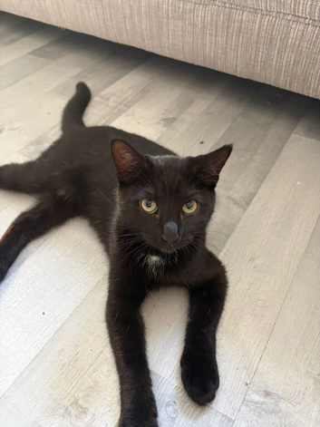 Luna
