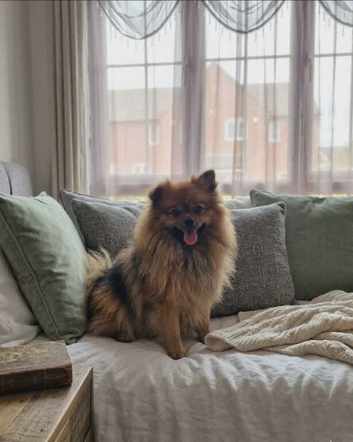 Female pom pom