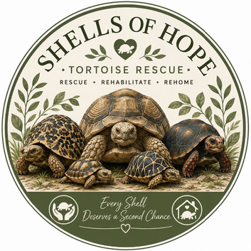 SHELLS OF HOPE TORTOISE RESCUE