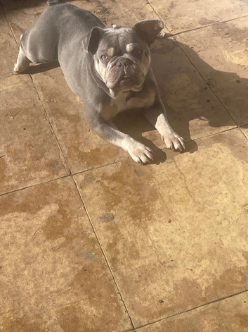 Girl 7 years old