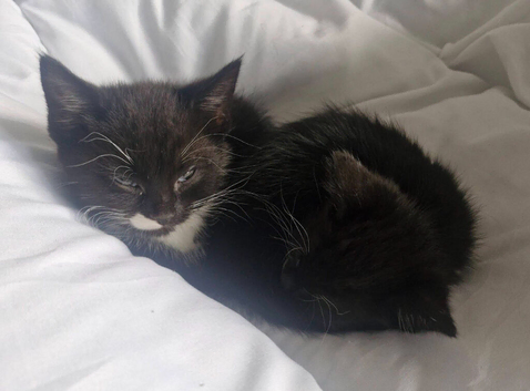 Black and white 2 month