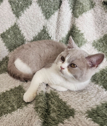 Beautiful girl