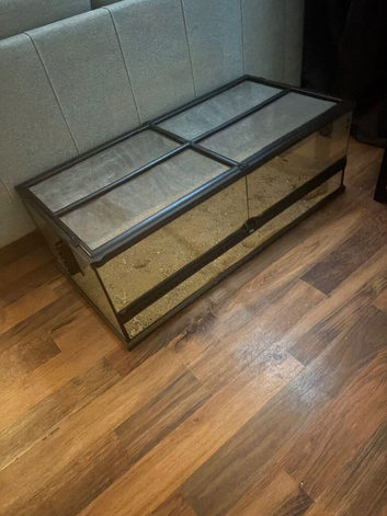 Leopard gecko enclosure