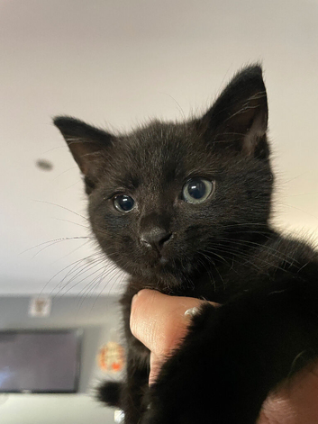 Just one little boy left