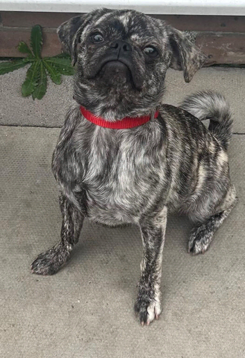 Absolutely beautiful female