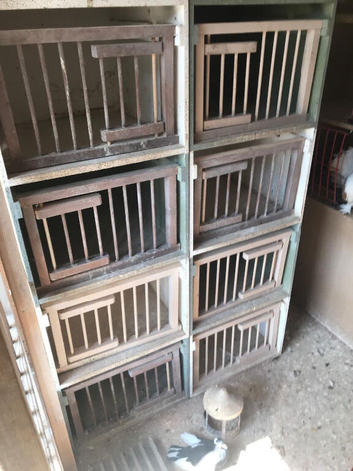 Set of 12 widowhood boxes