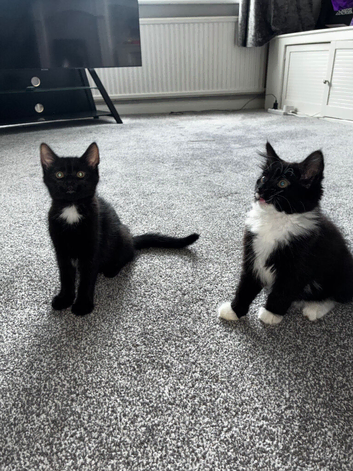 2 sweet siblings