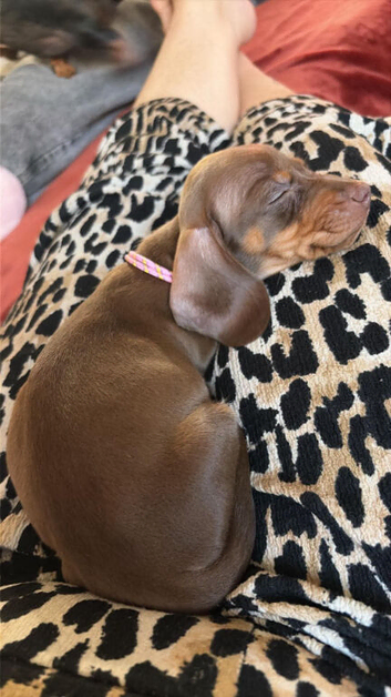 1 little girl ready now