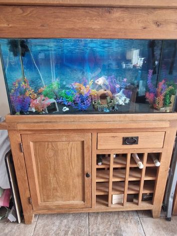 solid oak cabinet fishtank