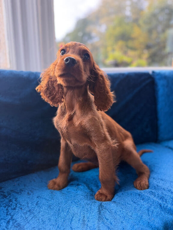 TWO BOYS AVAILABLE