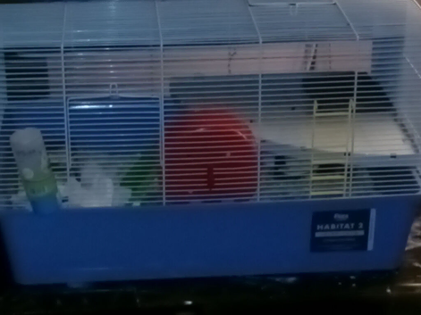 Habit 2 cage
