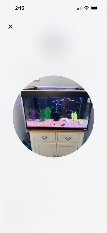 Fish tank with accessories