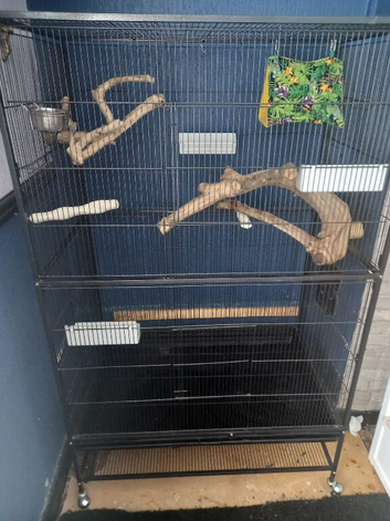 A big beautiful large bird cage for sale