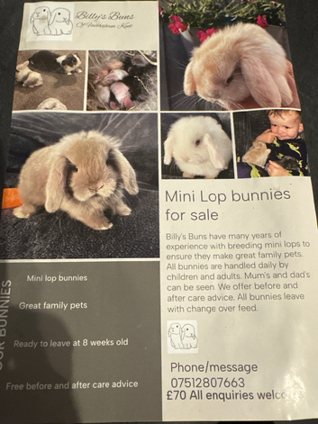 Billy's buns