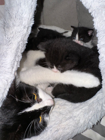 boy and girl
