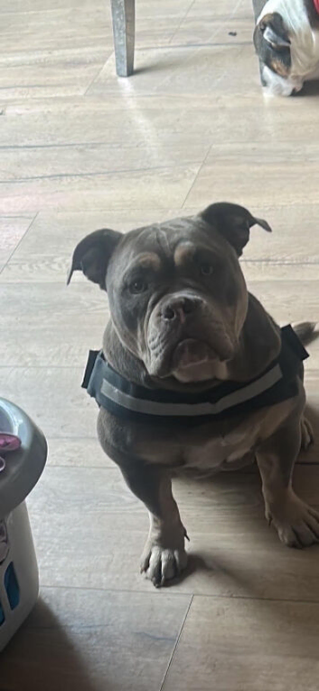 11 month girl